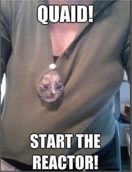 total caturday recall majorgeeks.jpg